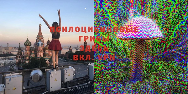 гашик Беломорск