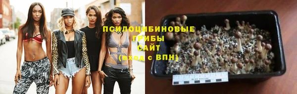 гашик Беломорск