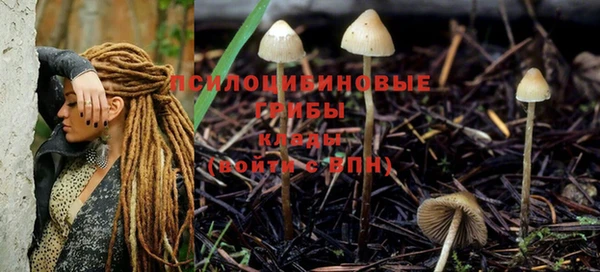 тгк Белоозёрский