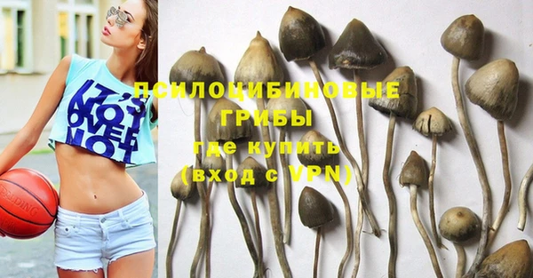 гашик Беломорск