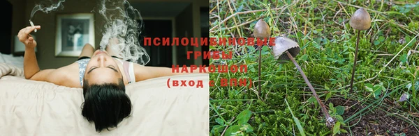 мет Белокуриха