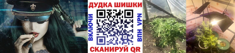 Купить где  Красавино  Бошки Шишки SATIVA & INDICA 